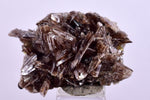 2.8cms AXINITE CRYSTALS Cluster Prehnite Peru Mineral Specimen Collectors A600