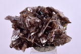 2.8cms AXINITE CRYSTALS Cluster Prehnite Peru Mineral Specimen Collectors A600