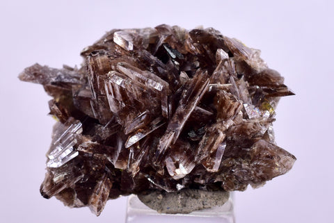 2.8cms AXINITE CRYSTALS Cluster Prehnite Peru Mineral Specimen Collectors A600