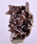 2.8cms AXINITE CRYSTALS Cluster Prehnite Peru Mineral Specimen Collectors A600
