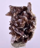 2.8cms AXINITE CRYSTALS Cluster Prehnite Peru Mineral Specimen Collectors A600