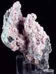 5.9cms RHODOCHROSITE ROSETTE QUARTZ Peru Crystals Collector Mineral Specimen R725