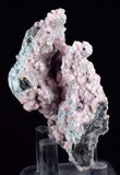 5.9cms RHODOCHROSITE ROSETTE QUARTZ Peru Crystals Collector Mineral Specimen R725
