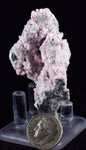 5.9cms RHODOCHROSITE ROSETTE QUARTZ Peru Crystals Collector Mineral Specimen R725