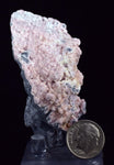6.7cms RHODOCHROSITE ROSETTE QUARTZ Peru Crystals Collector Mineral Specimen R737