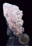 6.7cms RHODOCHROSITE ROSETTE QUARTZ Peru Crystals Collector Mineral Specimen R737