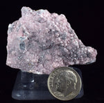 5cms RHODOCHROSITE ROSETTE QUARTZ Peru Crystals Collector Mineral Specimen R738