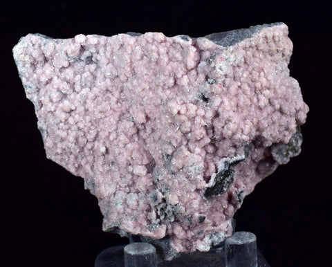 6.4cms RHODOCHROSITE ROSETTE QUARTZ Peru Crystals Collector Mineral Specimen R739