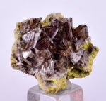2.6cms AXINITE CRYSTALS PREHNITE Cluster Peru Mineral Specimen Collectors A603