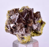 2.6cms AXINITE CRYSTALS PREHNITE Cluster Peru Mineral Specimen Collectors A603