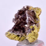 2.6cms AXINITE CRYSTALS PREHNITE Cluster Peru Mineral Specimen Collectors A603