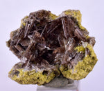 2.6cms AXINITE CRYSTALS PREHNITE Cluster Peru Mineral Specimen Collectors A603