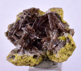 2.6cms AXINITE CRYSTALS PREHNITE Cluster Peru Mineral Specimen Collectors A603