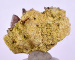 2.6cms AXINITE CRYSTALS PREHNITE Cluster Peru Mineral Specimen Collectors A603
