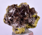 2.6cms AXINITE CRYSTALS PREHNITE Cluster Peru Mineral Specimen Collectors A603