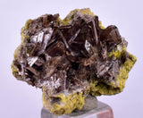 2.6cms AXINITE CRYSTALS PREHNITE Cluster Peru Mineral Specimen Collectors A603