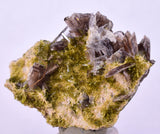 3.5cms AXINITE CRYSTALS PREHNITE Quartz Cluster Peru Mineral Specimen Collectors A604