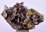 3.5cms AXINITE CRYSTALS PREHNITE Quartz Cluster Peru Mineral Specimen Collectors A604