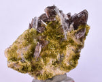 3.5cms AXINITE CRYSTALS PREHNITE Quartz Cluster Peru Mineral Specimen Collectors A604