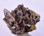 3.5cms AXINITE CRYSTALS PREHNITE Quartz Cluster Peru Mineral Specimen Collectors A604