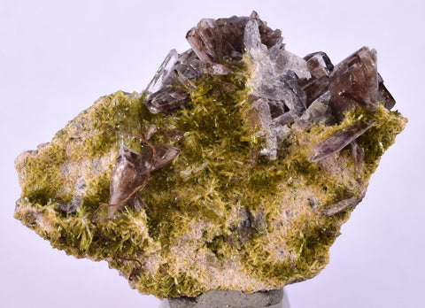 3.5cms AXINITE CRYSTALS PREHNITE Quartz Cluster Peru Mineral Specimen Collectors A604