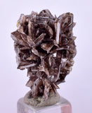 2.2cms AXINITE CRYSTALS PREHNITE Cluster Peru Mineral Specimen Collectors A605