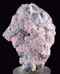 4.3cms RHODOCHROSITE ROSETTE QUARTZ Peru Crystals Collector Mineral Specimen R741