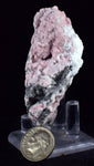 5.9cms RHODOCHROSITE ROSETTE QUARTZ Peru Crystals Collector Mineral Specimen R742
