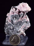 6cms RHODOCHROSITE ROSETTE QUARTZ Peru Crystals Collector Mineral Specimen R743