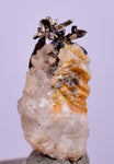 1cms NATIVE SILVER WIRES Quartz Peru Mineral Specimen H352