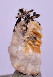 1cms NATIVE SILVER WIRES Quartz Peru Mineral Specimen H352