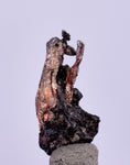0.9cms NATIVE SILVER WIRES Peru Uchuchaccua Mine 2000 Discovery Mineral Specimen H353