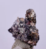 0.7cms NATIVE SILVER WIRES Peru Uchuchaccua Mine 2000 Discovery Mineral Specimen H357
