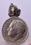 0.7cms NATIVE SILVER WIRES Peru Uchuchaccua Mine 2000 Discovery Mineral Specimen H357