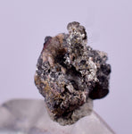 0.7cms NATIVE SILVER WIRES Peru Uchuchaccua Mine 2000 Discovery Mineral Specimen H357