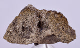 2.2cms NATIVE SILVER WIRES Peru Uchuchaccua Mine 2000 Discovery Mineral Specimen H359