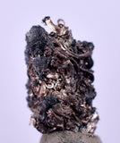 0.7cms NATIVE SILVER WIRES Peru Uchuchaccua Mine 2000 Discovery Mineral Specimen H361