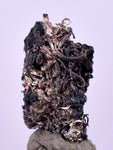 0.7cms NATIVE SILVER WIRES Peru Uchuchaccua Mine 2000 Discovery Mineral Specimen H361