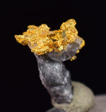 0.7cms NATIVE GOLD QUARTZ of the Incas Thumbnail Aesthetic Wire Gem Crystal Smoky Quartz Peru Rare Mineral Specimen L265