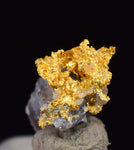 0.7cms NATIVE GOLD QUARTZ of the Incas Thumbnail Aesthetic Wire Gem Crystal Smoky Quartz Peru Rare Mineral Specimen L265