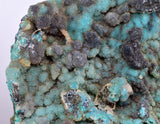 12cms GEM SILICA CHRYSOCOLLA Druzy Quartz Peru Mineral Specimen D280