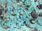 12cms GEM SILICA CHRYSOCOLLA Druzy Quartz Peru Mineral Specimen D280