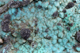 12cms GEM SILICA CHRYSOCOLLA Druzy Quartz Peru Mineral Specimen D280