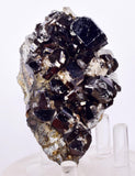 7.8cms CASSITERITE BRILLIANT CRYSTALS Facet Grade Shiny Bolivia Mineral E123