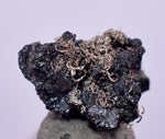 0.7cms NATIVE SILVER WIRES Peru Uchuchaccua Mine 2000 Discovery Mineral Specimen H365