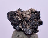 0.7cms NATIVE SILVER WIRES Peru Uchuchaccua Mine 2000 Discovery Mineral Specimen H365
