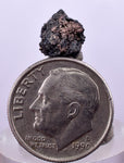 0.8cms NATIVE SILVER WIRES Peru Uchuchaccua Mine 2000 Discovery Mineral Specimen H367