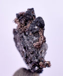 1.1cms NATIVE SILVER WIRES Peru Uchuchaccua Mine 2000 Discovery Mineral Specimen H370