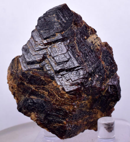 5.5cms GARNET ANDRADITE STEPPED Spessartine Crystal Rare Peru Grossular Peru Gemstone Mineral Specimen G264