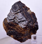 5.5cms GARNET ANDRADITE STEPPED Spessartine Crystal Rare Peru Grossular Peru Gemstone Mineral Specimen G264